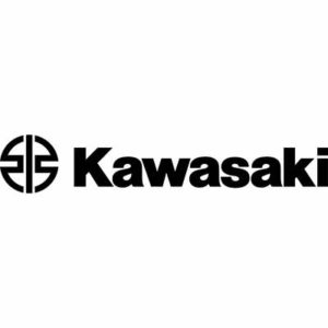 Kawasaki robot protection systems client, robot protect, robot cover